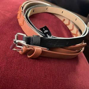 Torrid belts 2